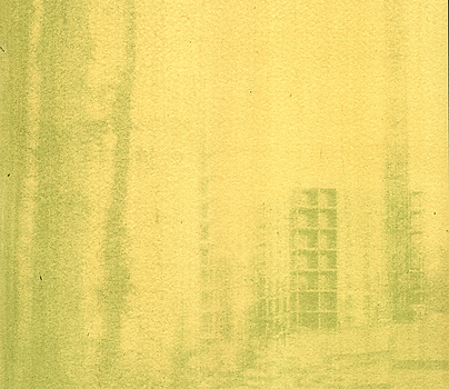 Echoes of the (in)visible - Anne Kalinic