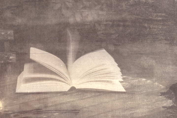 bookvandykewithcyanosecond layercyano.tiff