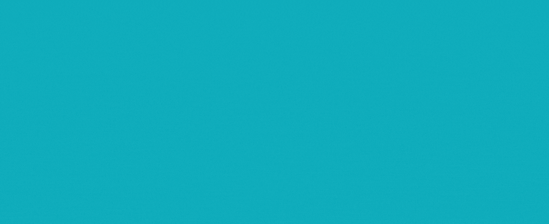 Peez & Co - Website Animated Header 3 - Aug 2025.gif