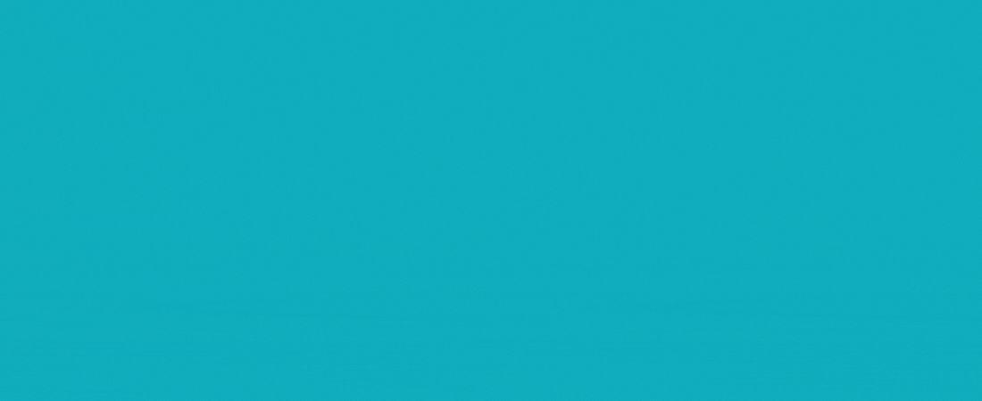 Peez & Co - Website Animated Header 1 - Aug 2025.gif