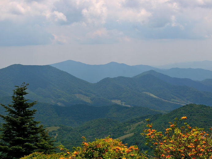 Untitled design copy 2.png