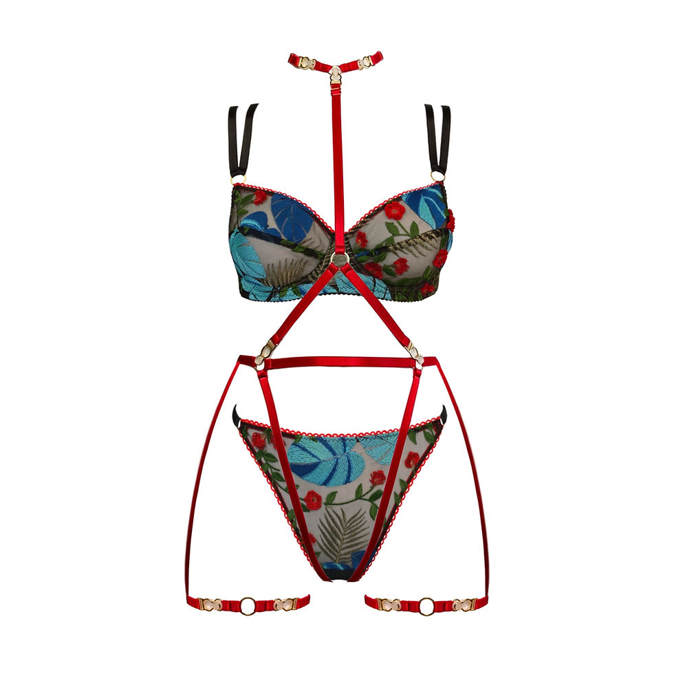 Thumbnail: Ginger 4 in 1 Harness