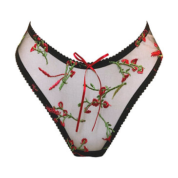 Vivienne Floral Embroidered Brief main image 1