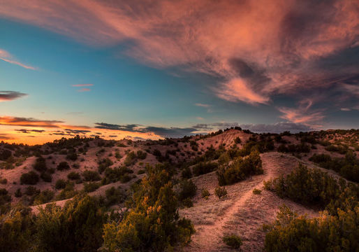 What Caregiving Does to Your Brain — And Why It Matters