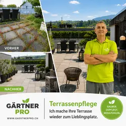 Terrassenpflege durch Gärtnerpro mit Vorher-Nachher-Vergleich einer gereinigten und gepflegten Terra