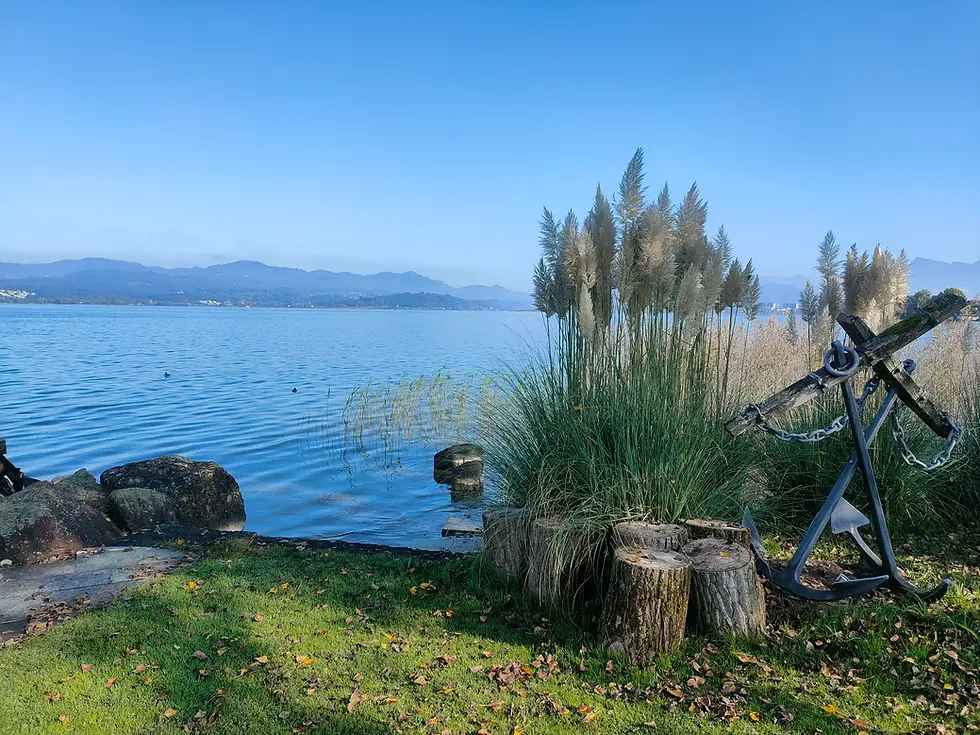 Gepflegter Ufergarten am Zürichsee mit Ziergräsern, natürlicher Bepflanzung und beeindruckendem Seeblick. Gärtnerpro pflegt Privatgärten, Seegrundstücke und hochwertige Aussenanlagen rund um den Zürichsee mit Fachwissen, Sorgfalt und persönlichem Einsatz.