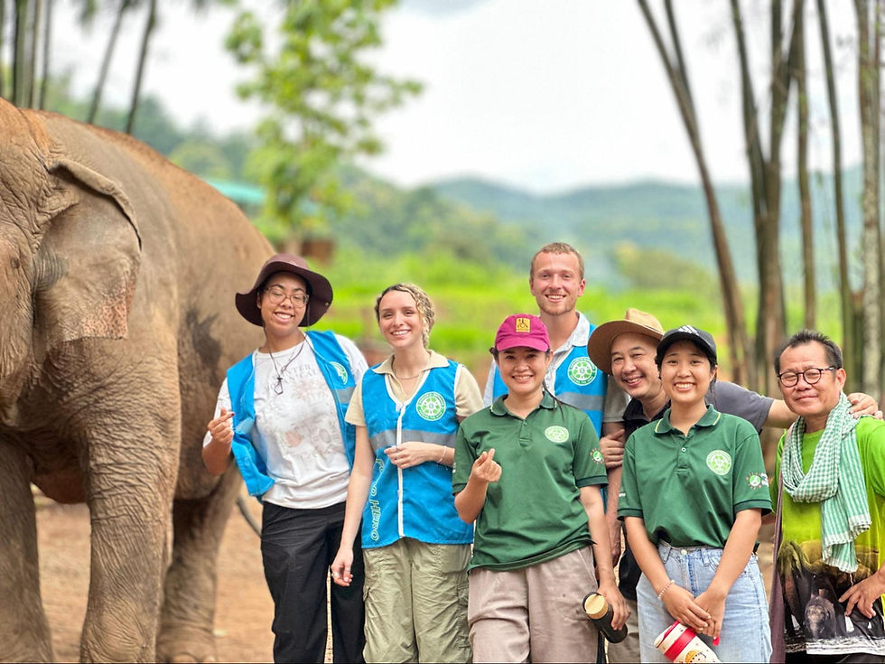 IIE NextGen interns with SOS Chiang Mai team and community member pose joyfully beside an elephant, showcasing their collaboration and conservation efforts.