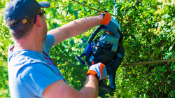 Gärtnerpro, Gartenpfelge, Gartenunterhalt, Gartenservice
