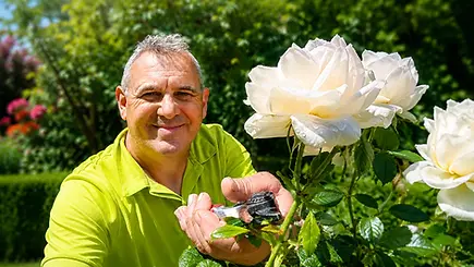 Obergärtner Thomas Hartmann schneidet hier jahrzehntealte Rosen in Zürich. Er hat schon 70 Jährige Rosen erfolgreich verpflanzt in diesem Garten