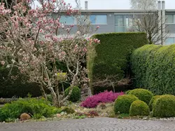 Gartengestaltung in Meggen
