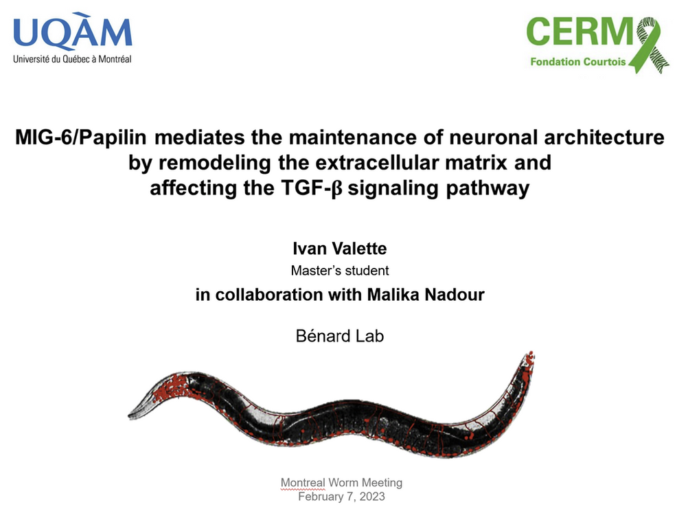 Ivan gave a great talk!