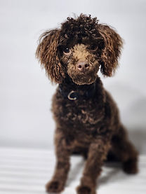 thumbnail - 2024-02-22T203436.846.jpg