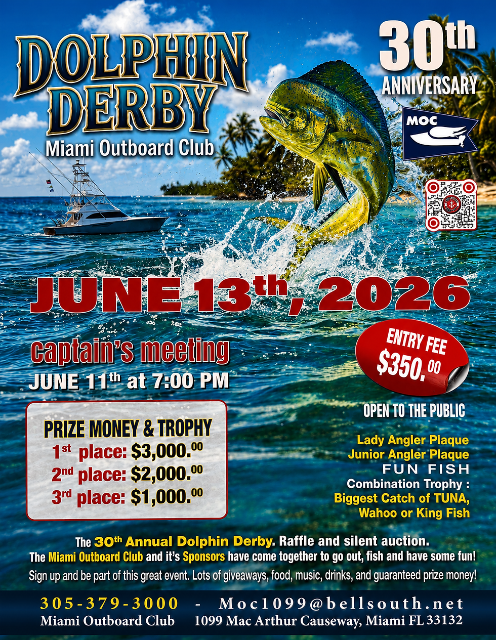 Dolphin Derby