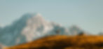 DSC_6879-Edit.jpg