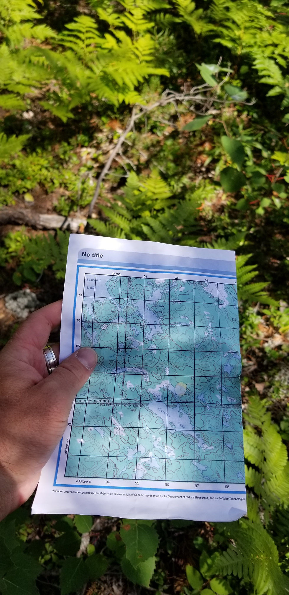 Thumbnail: Bush Navigation Course  14 September 2024 0900am.