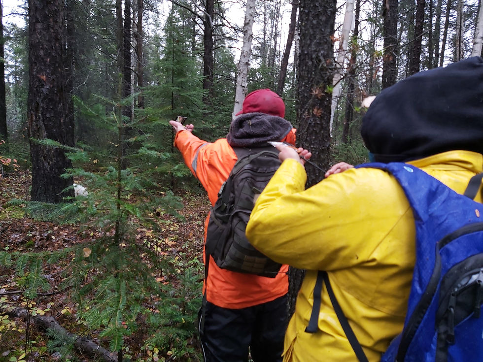 Thumbnail: Bush Navigation Course  14 September 2024 0900am.