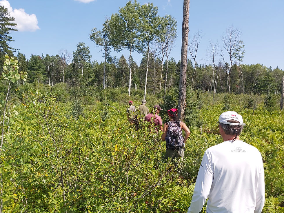 Thumbnail: Bush Navigation Course  14 September 2024 0900am.