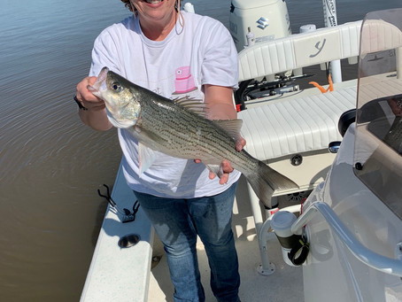 A Good Morning Fishing