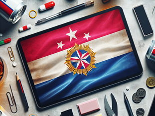 How does the TVK flag reflect the community's identity and values?