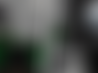 Roblox ESP Script OBS Hide External