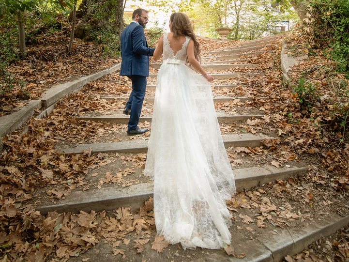 Forest Love 
