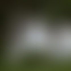 Στεφανάκι | Ελισάβετ