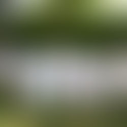 Ονειροπαγίδα | Μύρωνας & Αμαλία 