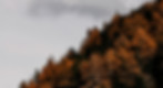pexels-image-hunter-281453274-13012541.jpg