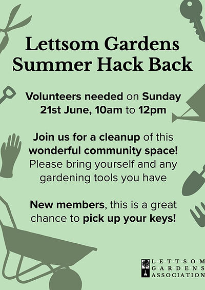 Lettsom Gardens Summer Hack Back.jpg