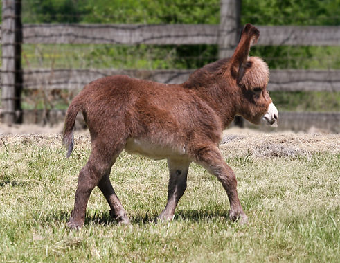 7e47c1fb-0994-4668-b8d8-7743c2c28f14.jfif