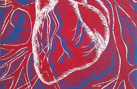 anatomical heart linocut print limited edition in red, white and blue. Original unique artwork carved from lino hand printed on Japanese handmade paper. Medical wall art decor for sale.