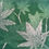 Thumbnail: Limited edition etching print Japanese maple leaves original hand pulled aquatint art for sale