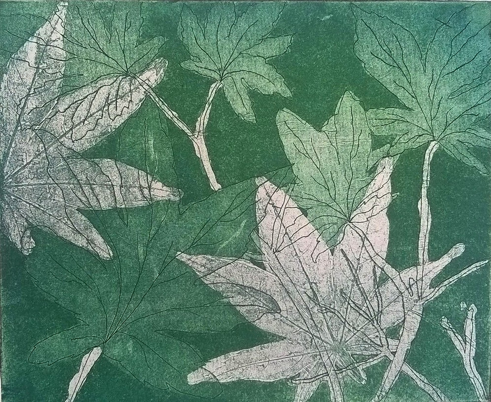Limited edition etching print Japanese maple leaves original hand pulled aquatint art for sale