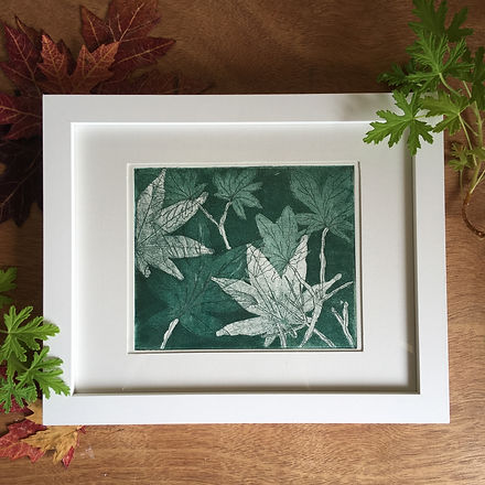 Japanese maple leaves etching print