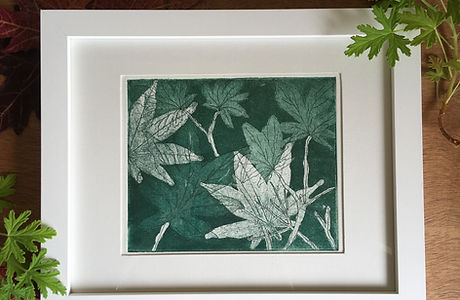 Japanese maple leaves print orignal fine art etching wall artwork. Acer tree naure inspired unique limited edition aquatint with green and brown autumn leaves.