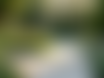 Understanding the Factors Influencing Patio and Paver Costs in Buffalo NY