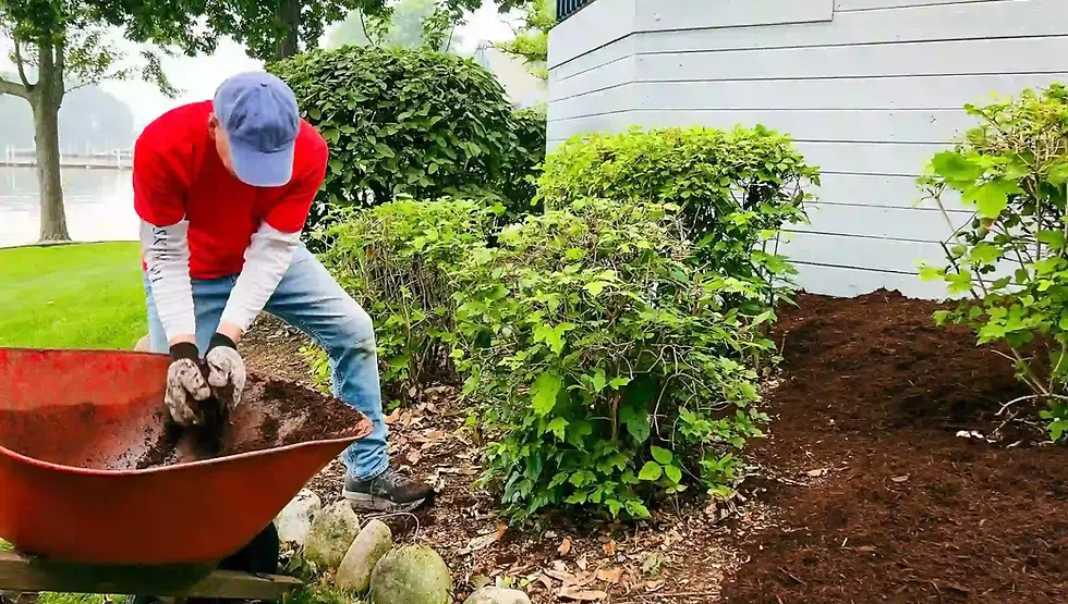 Mulch installation by landscaper near me in Cheektowaga NY