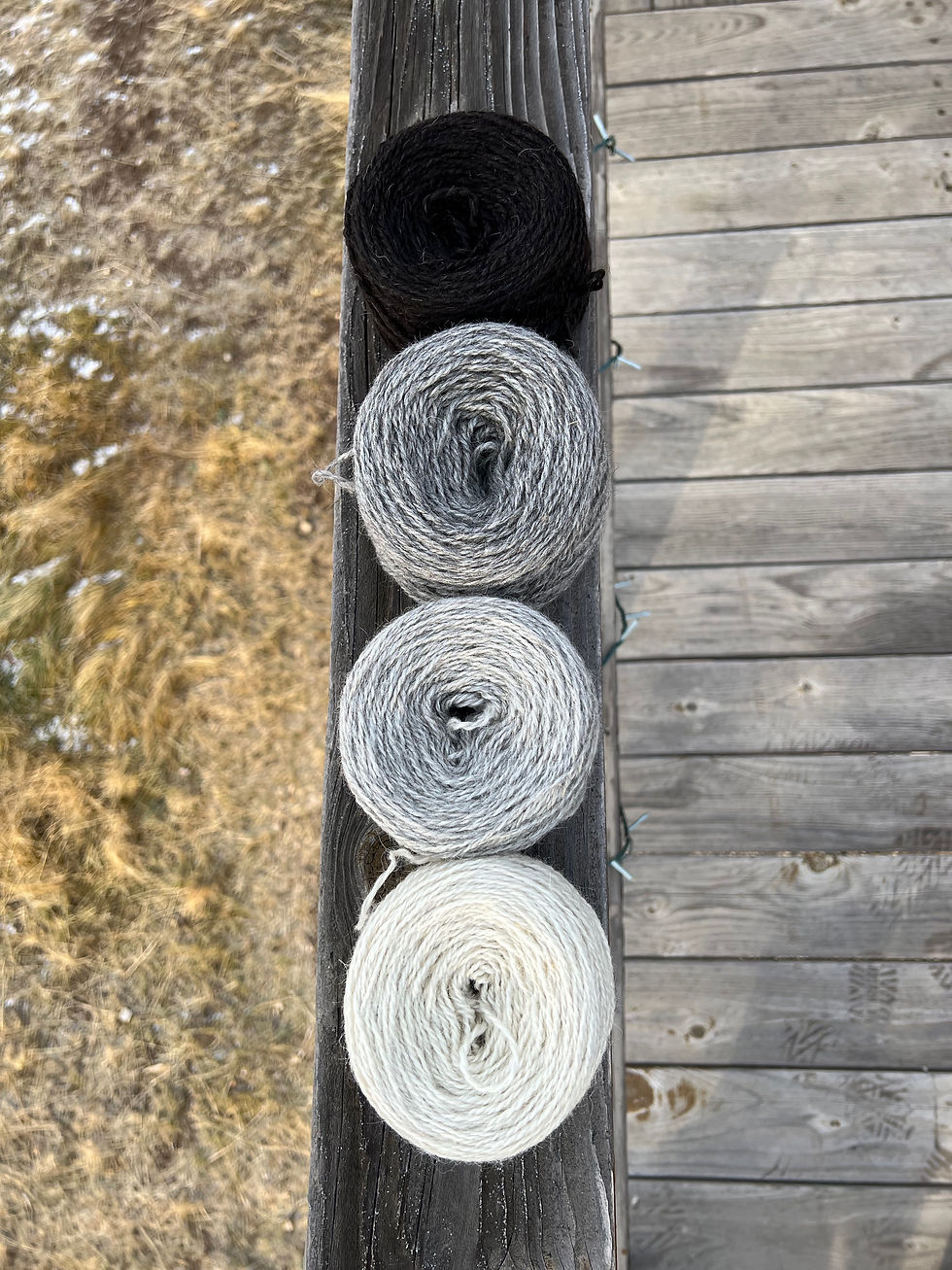 Thumbnail: Icelandic lamb DK weight, 2 ply yarn