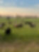 IMG_4802.jpeg
