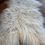 Thumbnail: Icelandic Lamb Hide