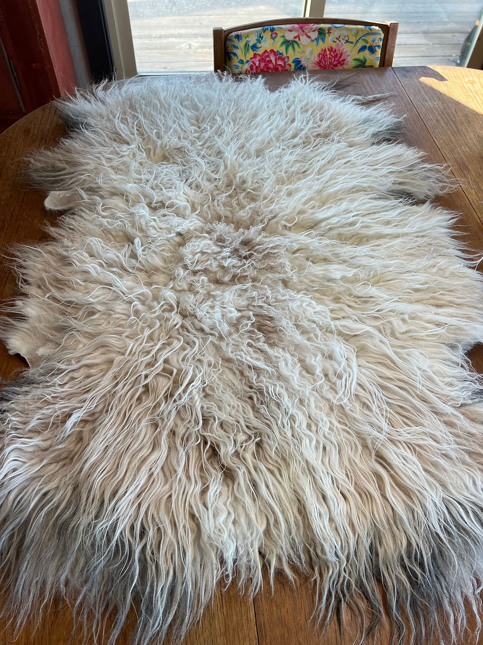 Thumbnail: Icelandic Sheep Hide