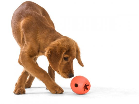 Thumbnail: Rumbl Treat Toy - West Paw