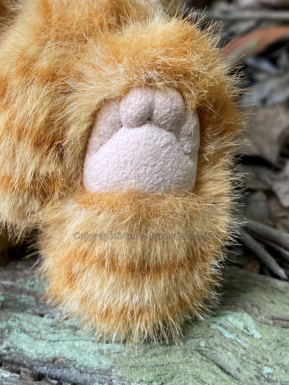 Thumbnail: Samuel - Ginger Kitten
