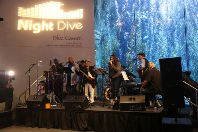 Aquarium of the Pacific Night Dive
