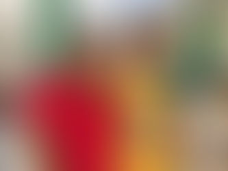 Criança no Sul do estado realiza sonho de jogar futebol em Boa Vista