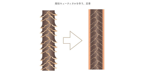 髪質改善 トリートメント