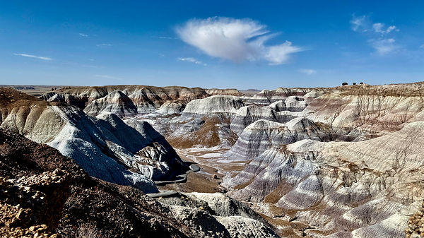 LANDSCAPES - 2025-0227 - Blue Mesa (Petrified Forest Nat'l Park, AZ).jpeg