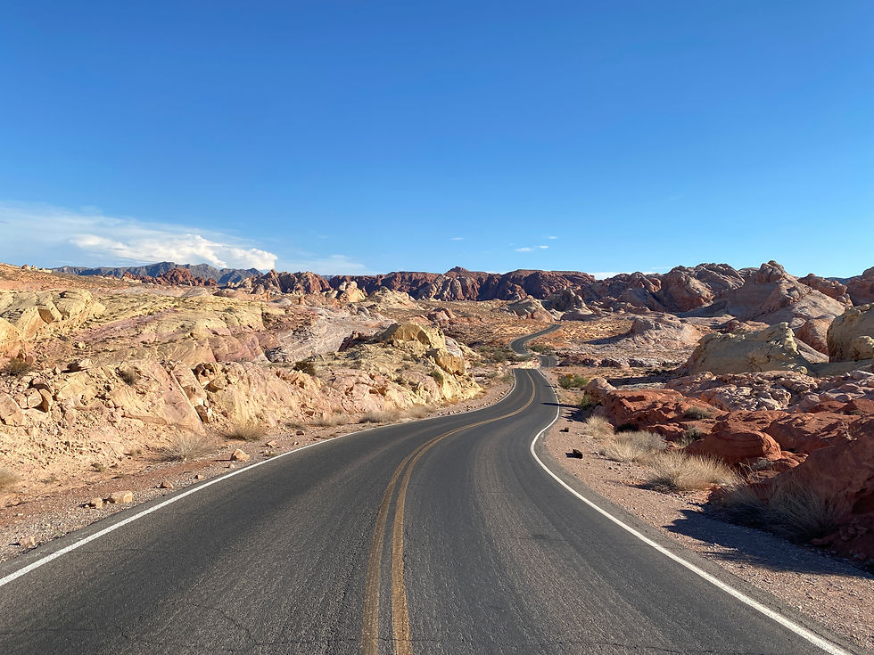 The Long Valley Road