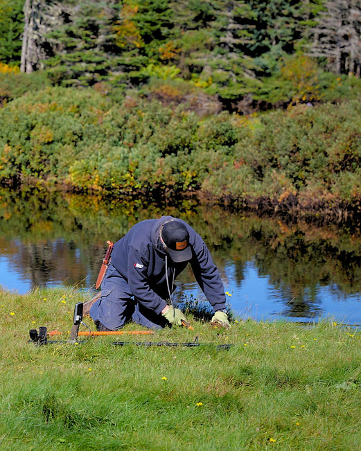 Pond banner_edited.jpg