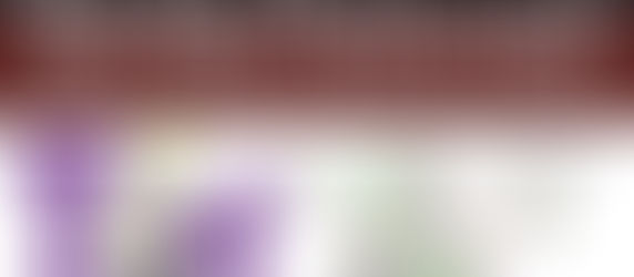 How To Create An Onion Website (Guide)